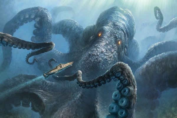 Kraken com whitenet