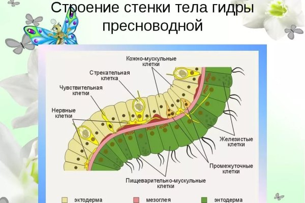 Кракен магазин нарков