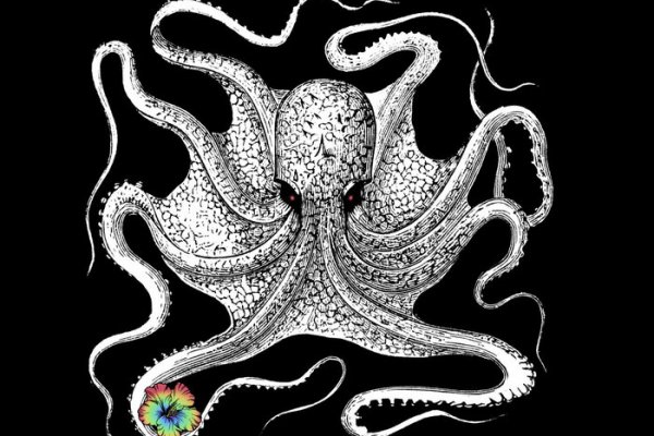 Kraken 22 аt