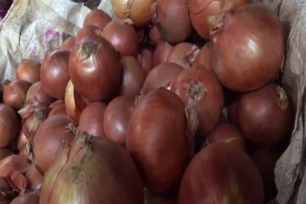 Кракен маркет счастье