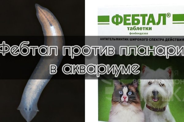 Kraken 13at
