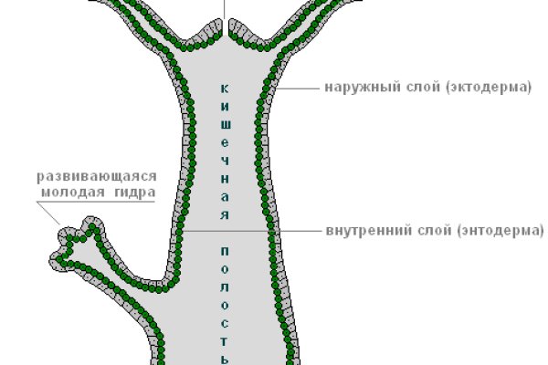 Как подключиться к супернету