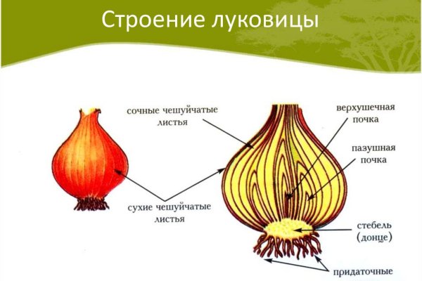Кракен 22